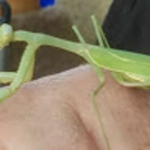 Meet your Posher, Kristina